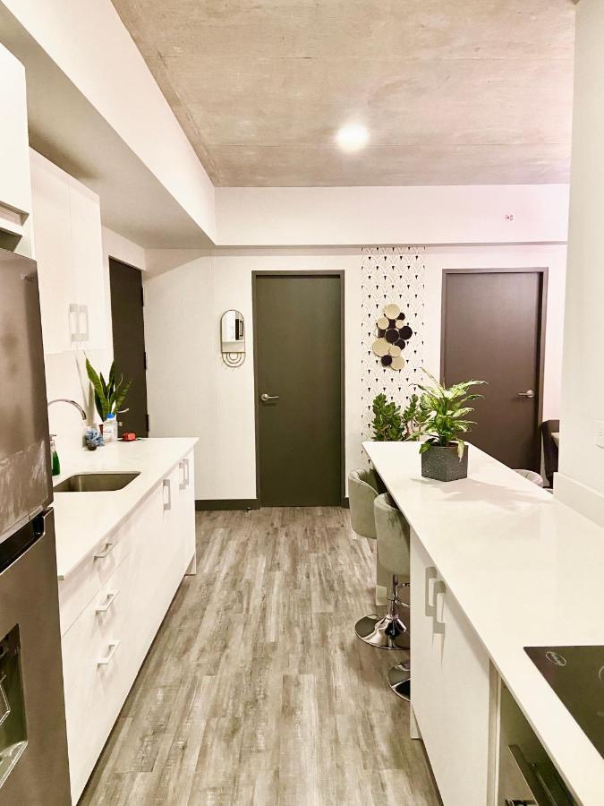 Comodo Y Elegante Apartamento En Fabuloso Condo! Сан-Хосе Экстерьер фото